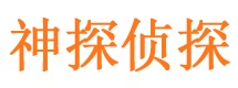 九龙市私人侦探